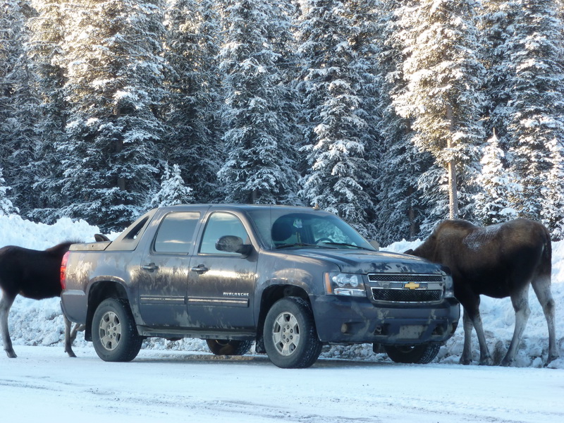 creek lick Chevrolet creek lick Chevrolet