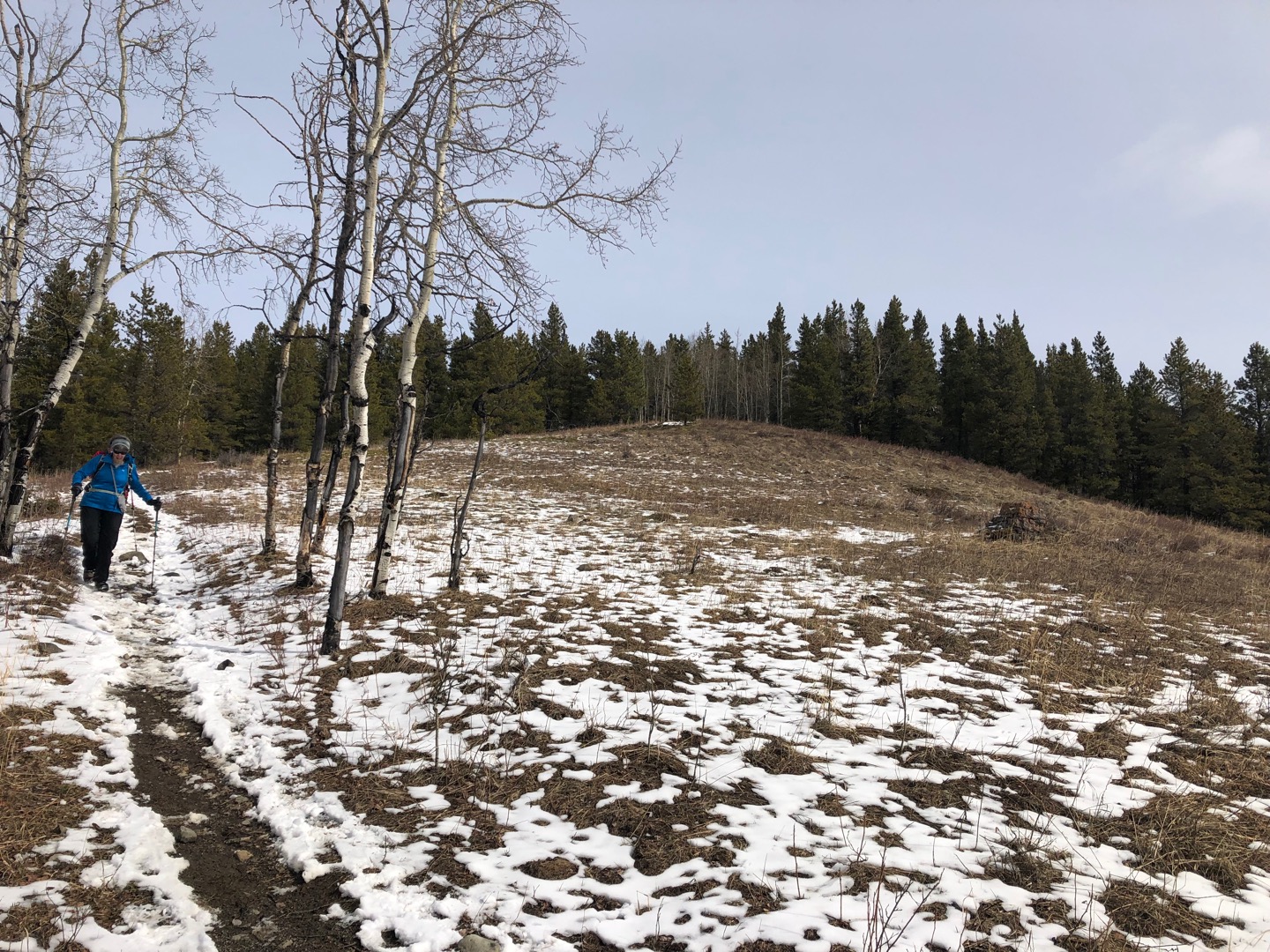 Rocky Mountain Ramblers trip report for Elbow Valley Trail Riverview ex