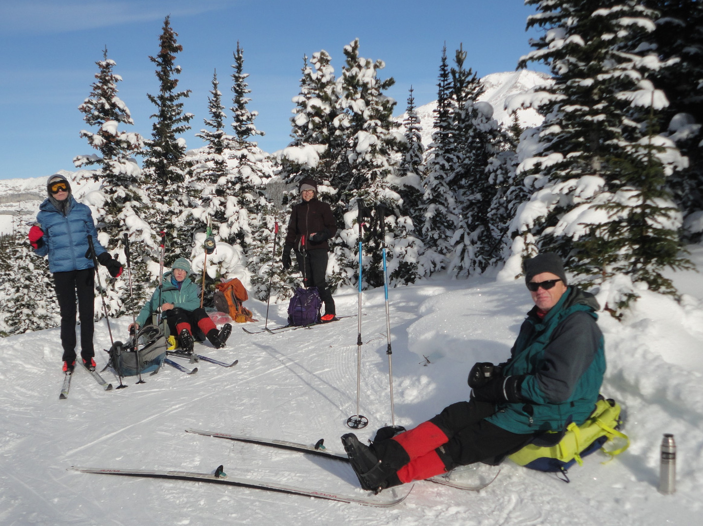 Rocky Mountain Ramblers Trip Report Ribbon C Ski Trails: Skogan Pass On 