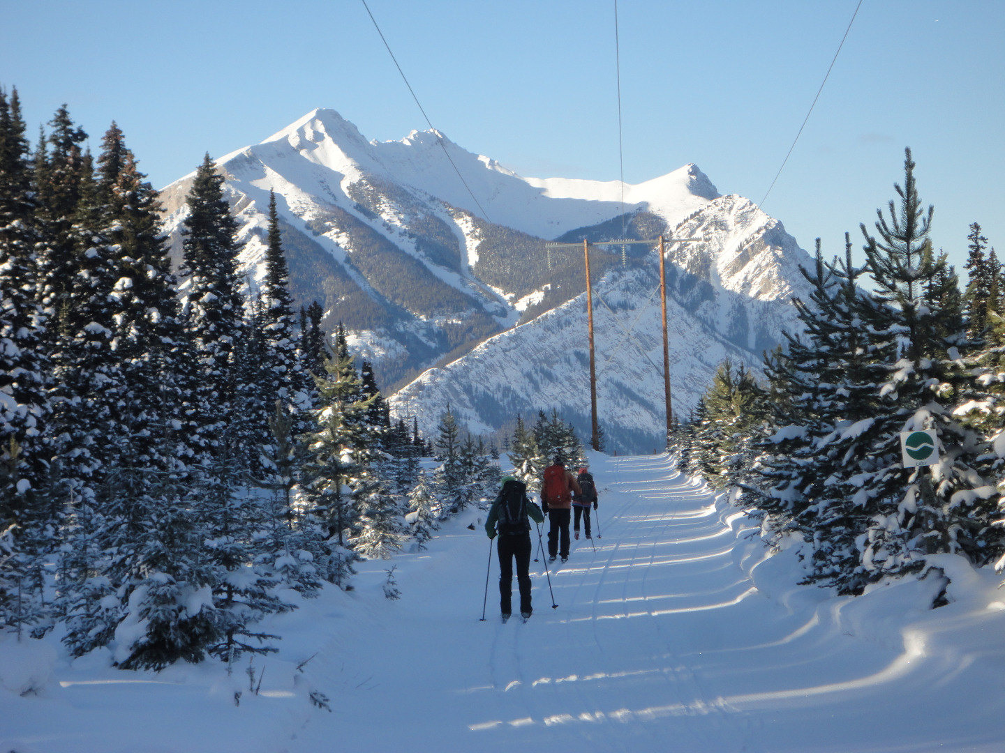 Rocky Mountain Ramblers Trip Report Kananaskis Lakes Ski Trails Elk