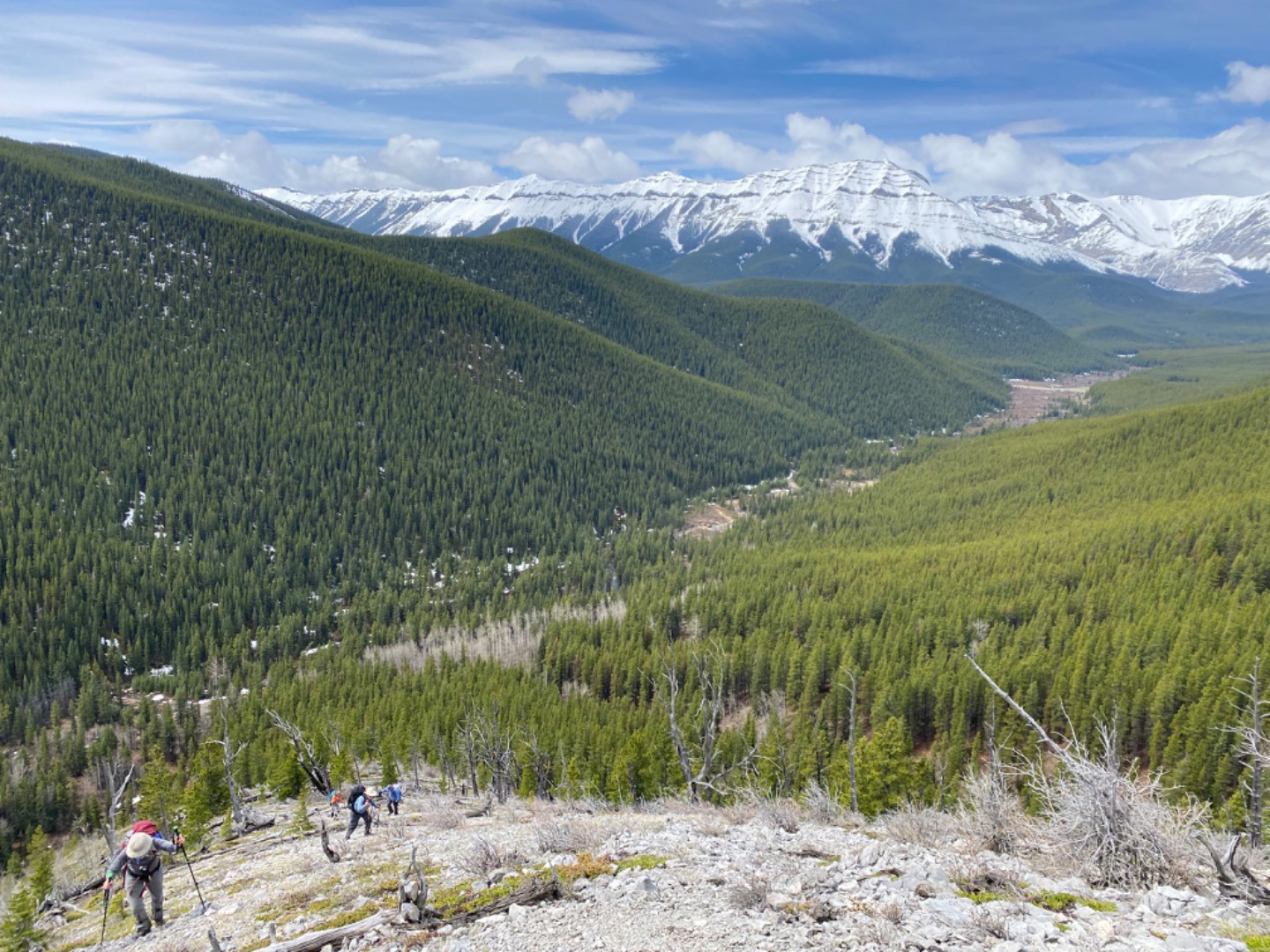 Rocky Mountain Ramblers trip report for Prairie Creek to Rock Point Ridge