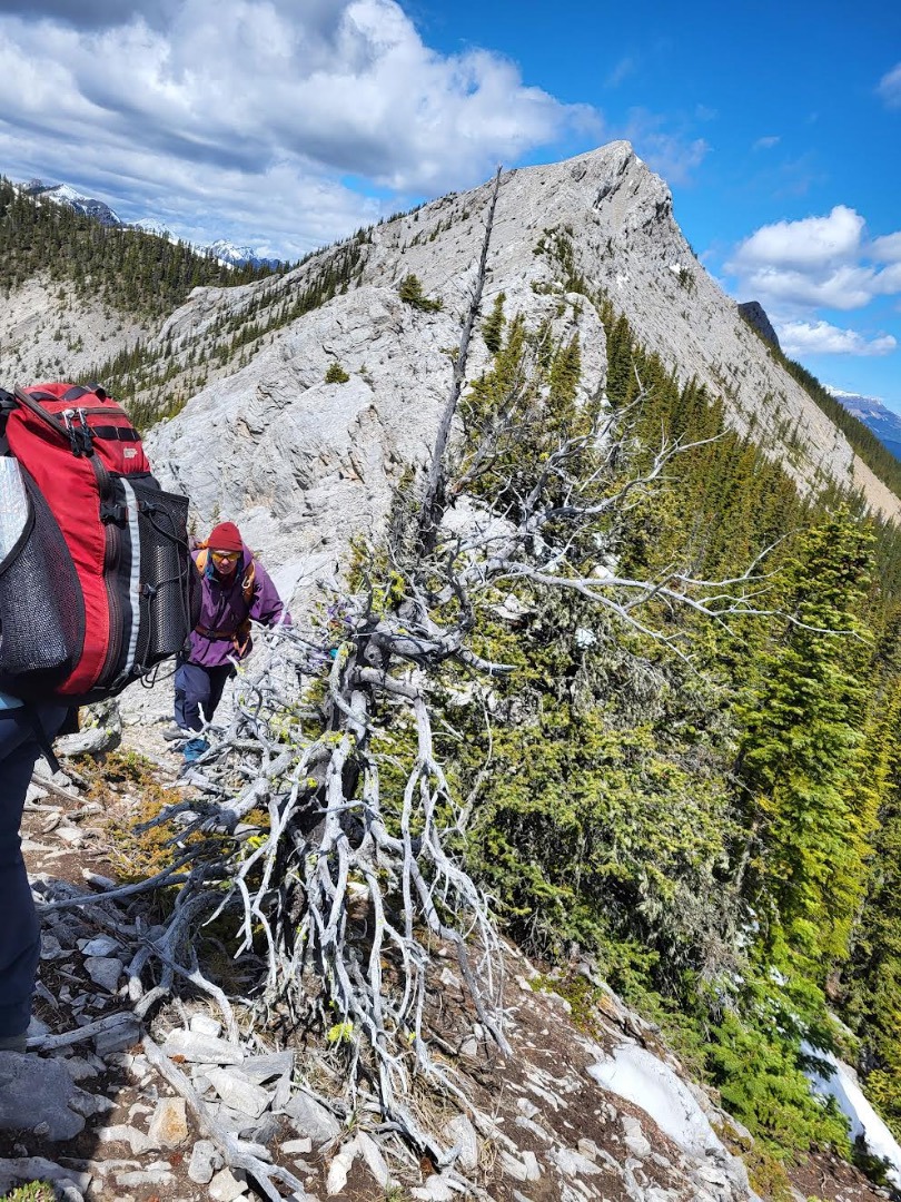 Rocky Mountain Ramblers trip report for Baldy south peak GR 373520 via ...