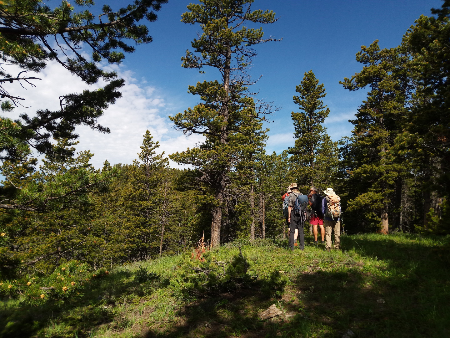 Rocky Mountain Ramblers trip report for Missinglink Mtn loop via S.E. ridge