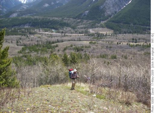 {162 pet fis} enjoying the view