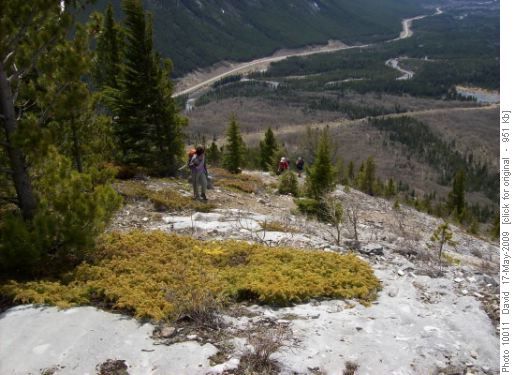 {933 de per}, {522 bre eve}, {1279 sha mil} arriving at the lunch spot