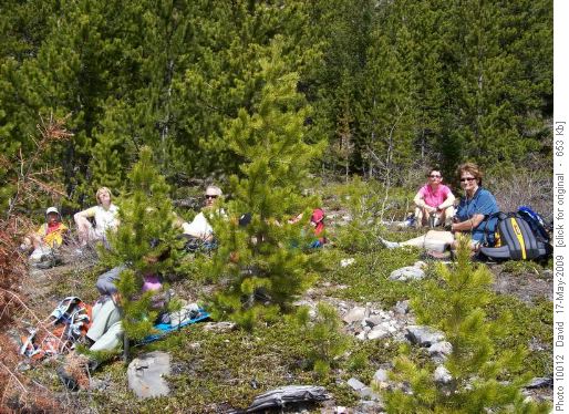 Lunch in the shelter of the trees