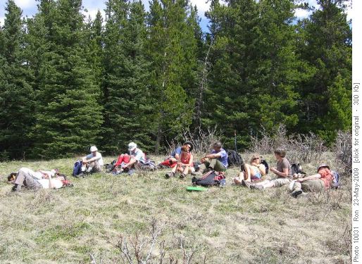 Lolling lunchtime layabouts on Mesa Butte