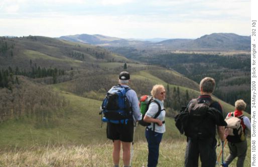 East view - where next?