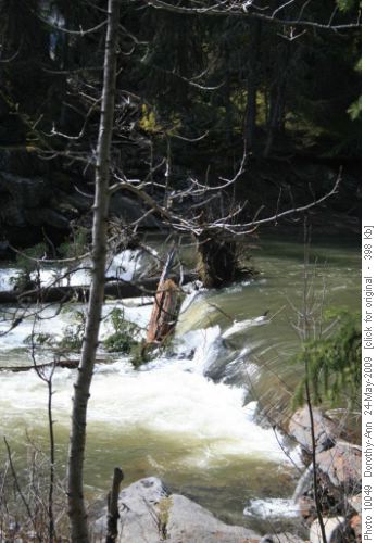 Sheep River below lunch stop