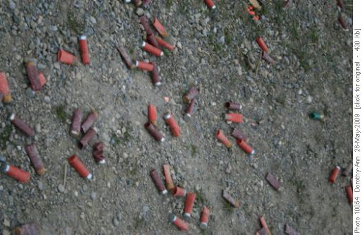 Shotgun shells