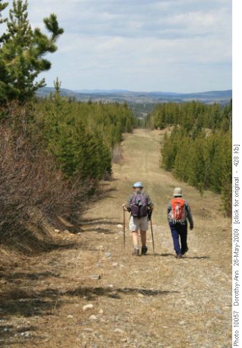 Looking north on trail near car parking