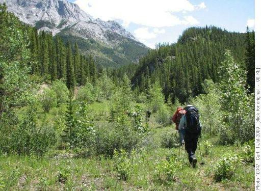Start of Rocky Creek route