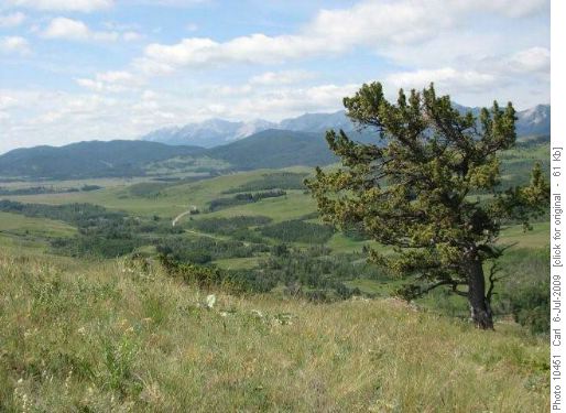 Looking back to trailhead