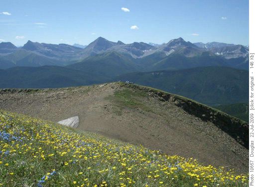 Having a rest at the post