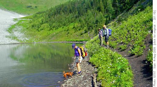 Rambler cools off in the lake