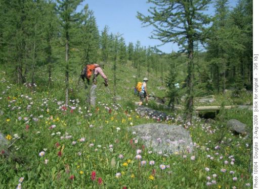 Crossing the stream at the entrance to the meadows