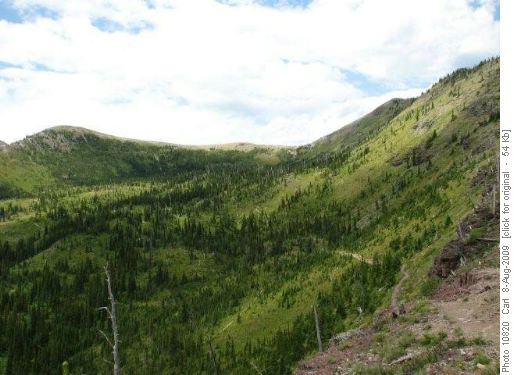 Col north of Mount Forster