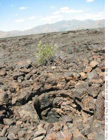 Tree mould left after lava engulfed a tree
