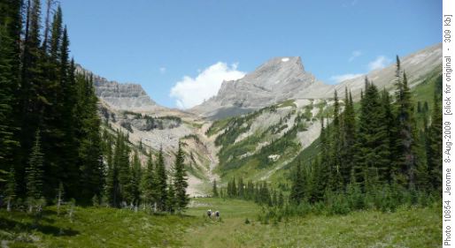 Niles Amphitheatre (Niles meadows is above and right of center)