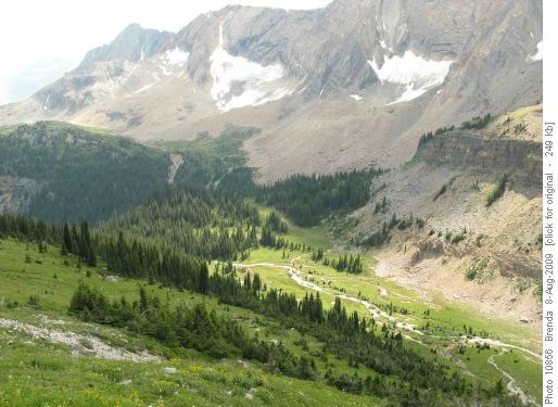 Looking down in to the amphitheatre from Niles Meadows