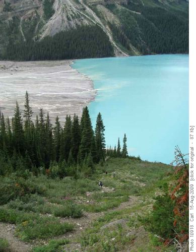 Climbing back to Bow Summit viewpoint