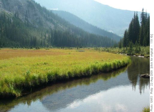 Meadows, Commonwealth Ck