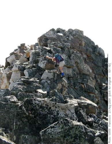 entertaining O.T5 section