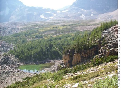 Wenkchemna Pass in background