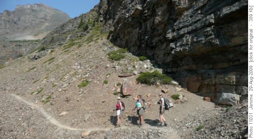 Trail between Eiffel Lake and the pass