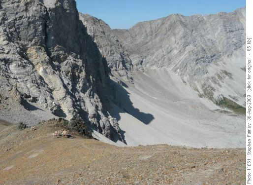 Gathering of the Rams on Grizzly Col