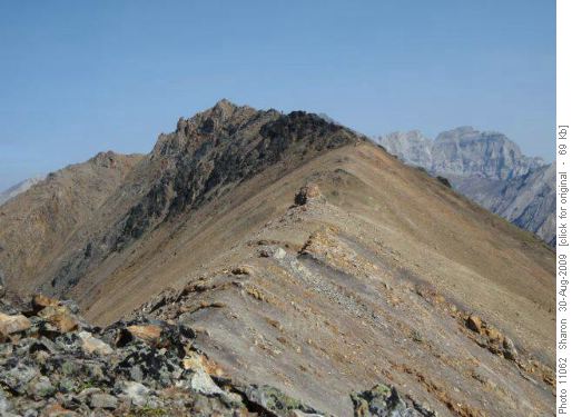 Approach to Grizzly Ridge Summit