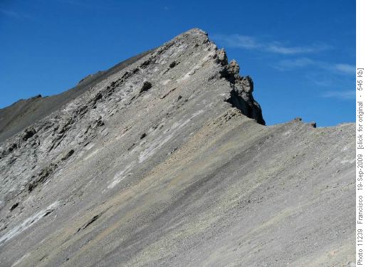 S.E ridge of Mist Mt.