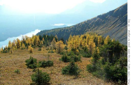 Smokey Kananaskis Lakes and larches