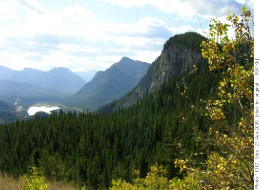 Fall colours on Barrier Mountain