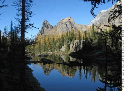 Wiwaxy North Peak and Cluster Peaks reflected in Opabin Terrace Pool