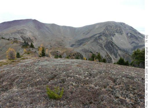The Walk Along This Ridge Was Cold & Windy