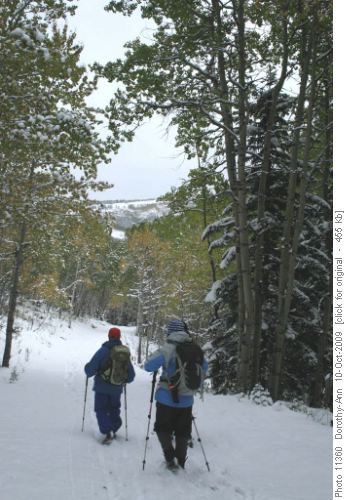 A glimpse of Green Mtn through the trees