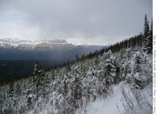 Looking north to Castle Mountain
