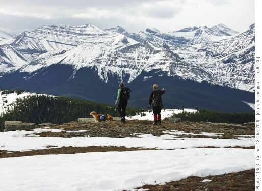 Views from Cox Hill summit