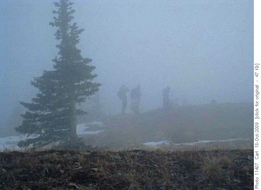 Fog blowing through as we ascend from Powderface pass