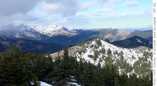 View NW from the Bull Ck Hills summit (11 U 673127 5588867, Alt. 2,179m) towards the Foothills