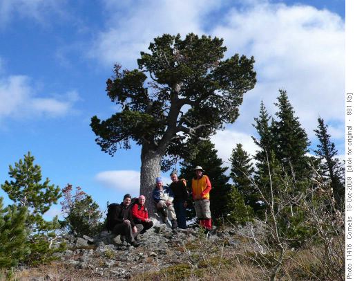 Pat, Carole, Hubert, Laszlo and Cornelis at the Boundary Pine (11 U 671888 5587001, Alt. 1,859m)