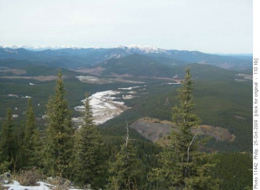 View north up Quirk Creek