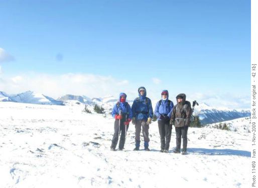 Forget-me-not Mt/Chris,John,Jay,Yoko/.