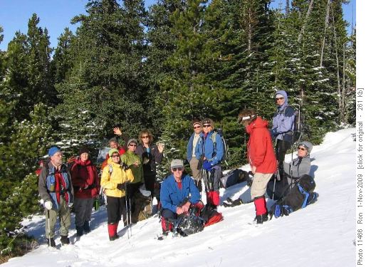 Junction on Jumpingpound Mtn trail