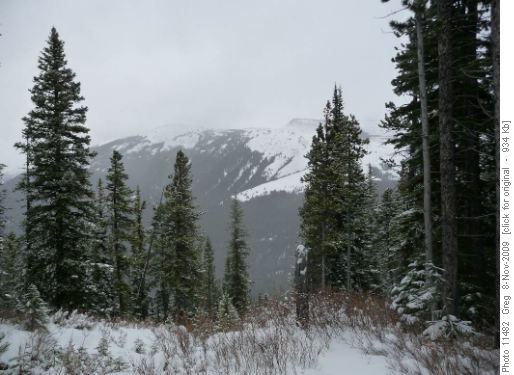 Looking over to Pigeon Mountain on the way up to Mt. Allan