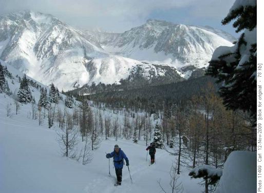 Climbing to Pocaterra Ridge (Ptarmigan Cirque in background)