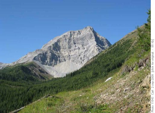 Mt Bishop from Bishop Ridge trail