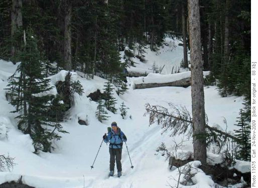 Sheila on the Mist Ridge trail