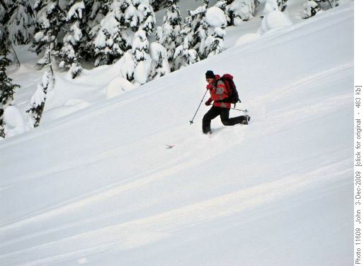 {486 Pet Hou} skiing slopes near the Mousetrap.